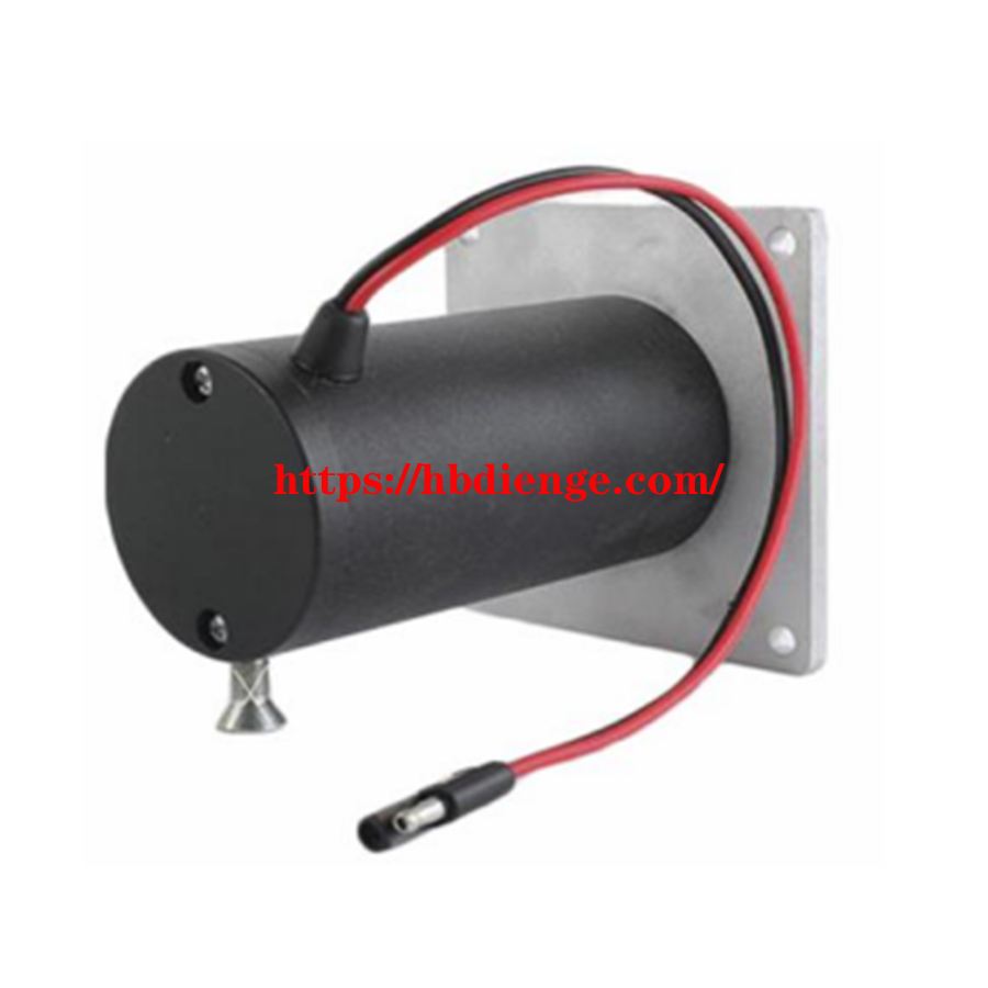 MDZ8018 UD101987DC W-8018 W8018 DC motor SAB0161 10765N 10765 Salt Spreader Motor 3005414 3005693 W-8017 W8017 - 图片 3